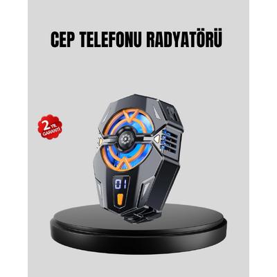 Cep Telefonu Radyatörü Yarı İletken Hızlı Soğutma Ve Dijital Ekran Kontrollü