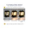 Ampul Solar Şarj Edilebilir 12 Led 1 Rustikli Led Kamp Lambası