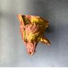 Gold Red Jaguar Başı Duvar Aksesuarı Asılabilir Dekoratif 20x16 Cm