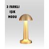 Şarjlı Dimmerli Led Masa Lambası – 4-8 Saat Aydınlatma